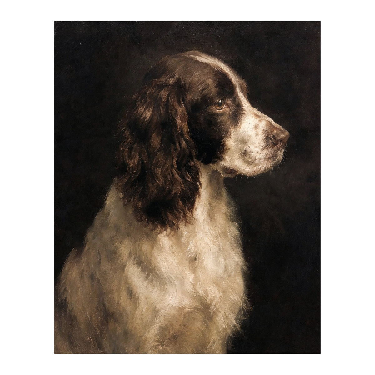 Collins Dog Art Print