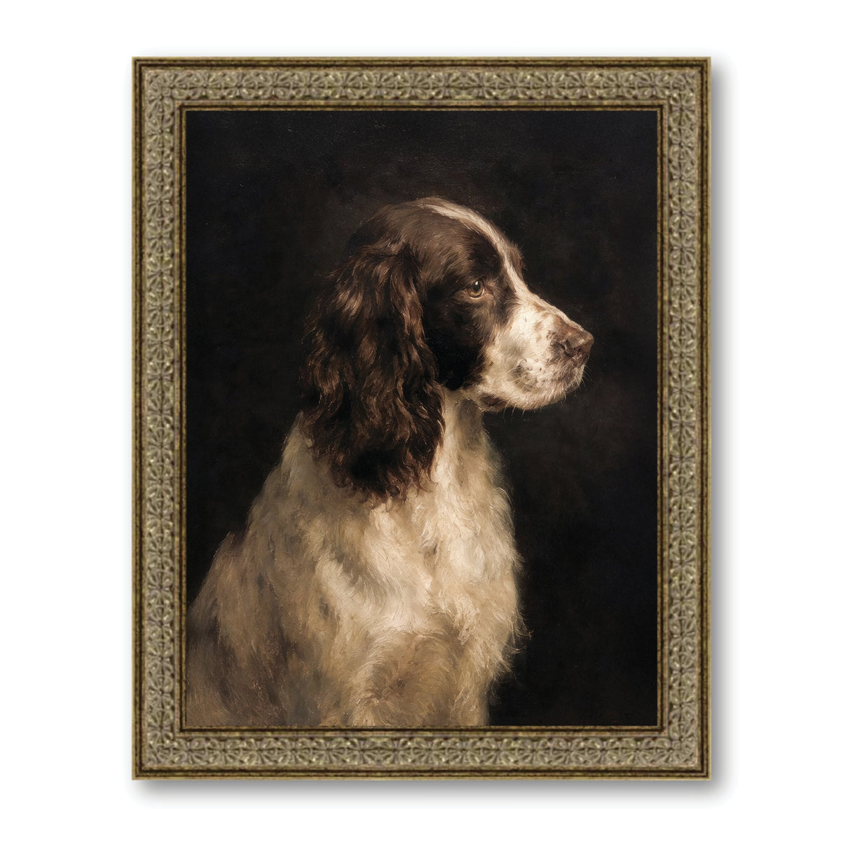 Collins Dog Art Print