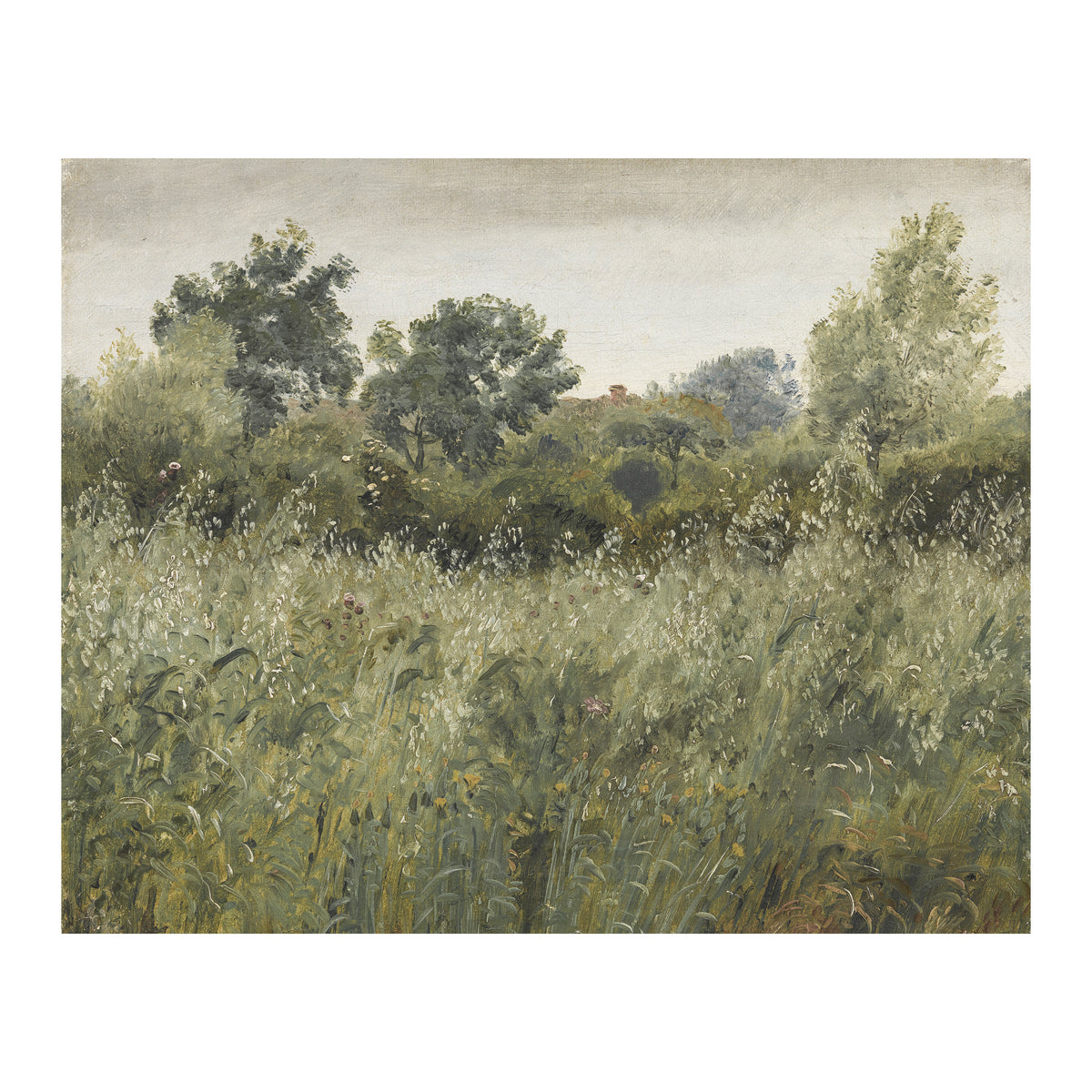 Field Of Wheat Art Prints