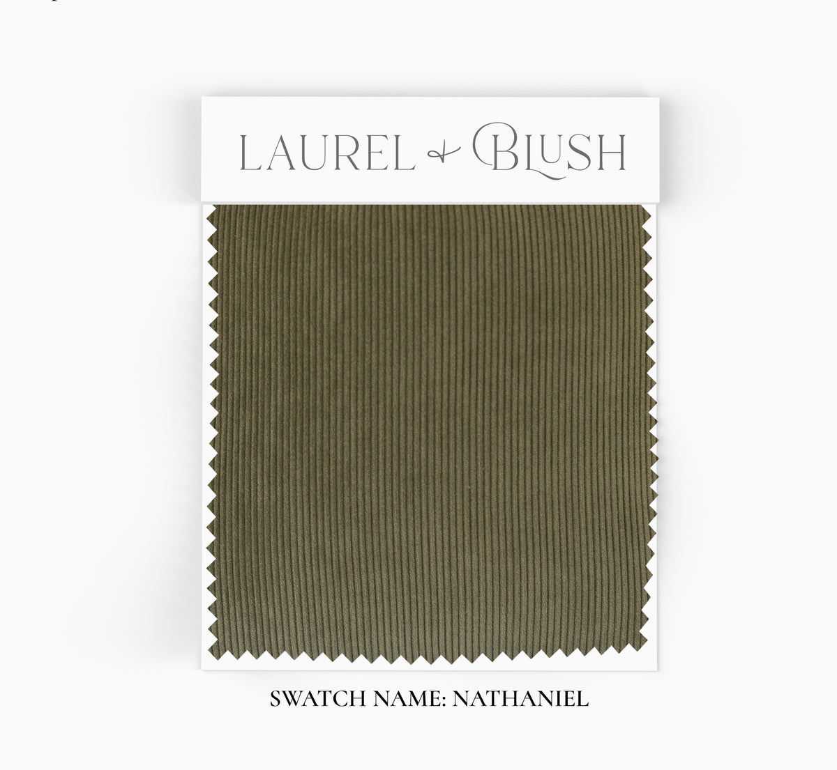 Current Collection Swatches