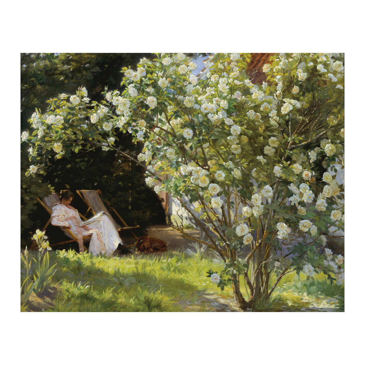 Rose Garden Art Print