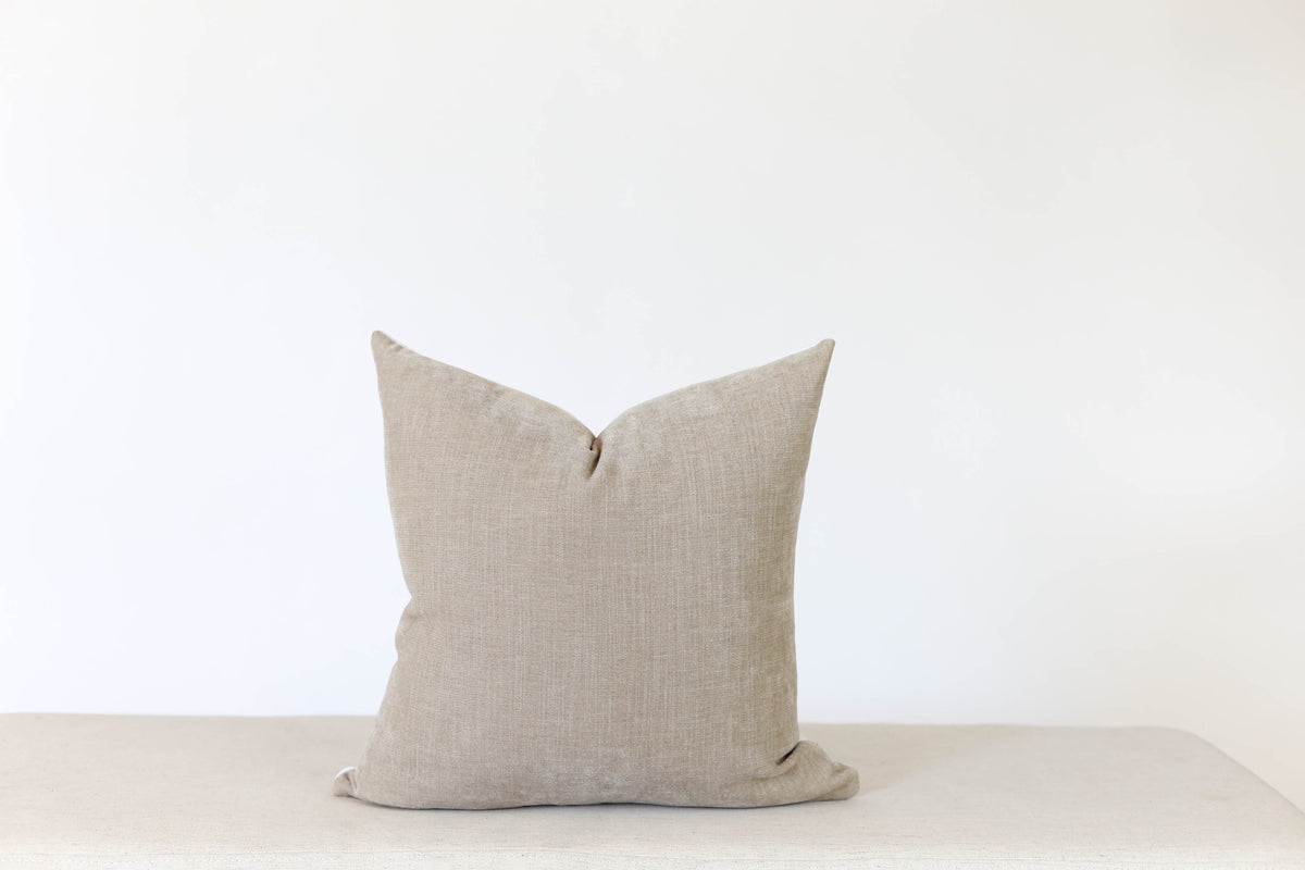 Taupe Velvet Pillow Cover