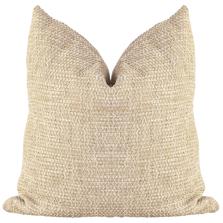 Ridley Pillow cover
